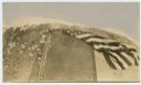 Image of Greely Memorial Tablet with draped flag, unveiled